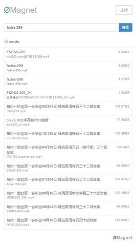 无极磁链(1)