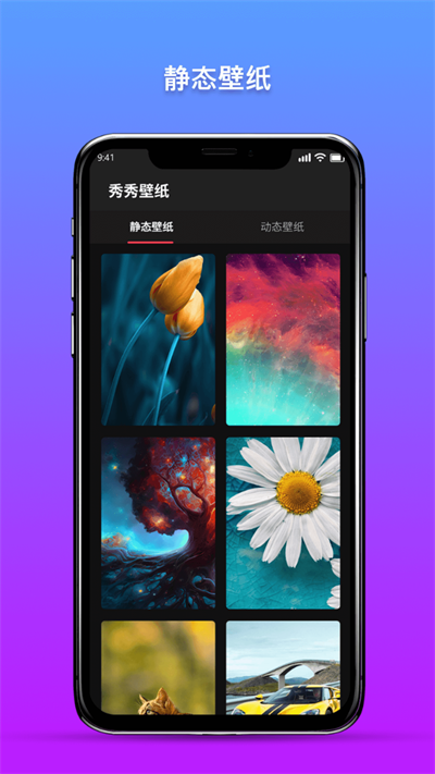 秀秀壁纸小助手(2)