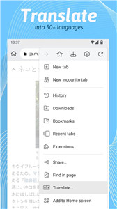 kiwi浏览器中文精简版