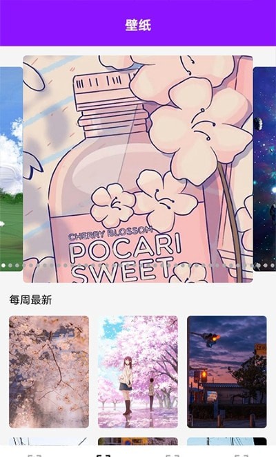 百变主题永久免费车机版app