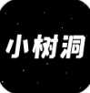 小树洞正版