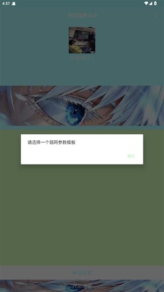 夜羽弱网旧版图2