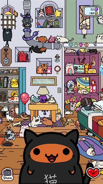 小偷猫(5)