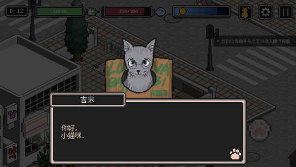 流浪猫的故事中文版(3)