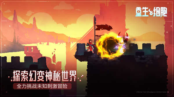 dead cells免费版