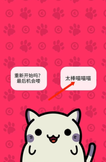小偷猫