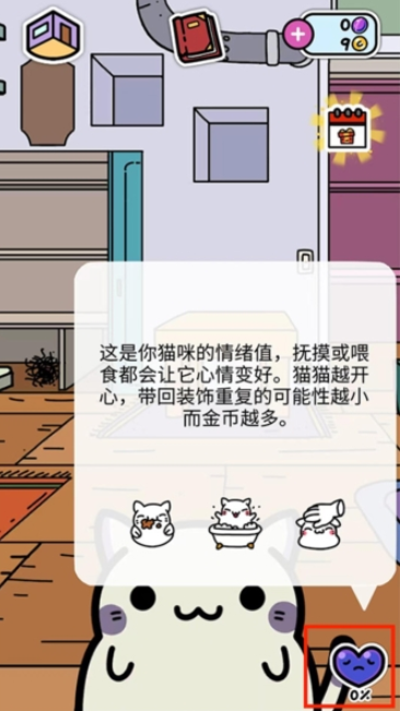 小偷猫