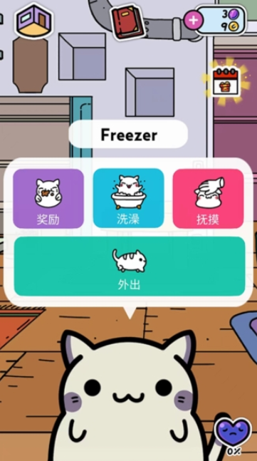 小偷猫