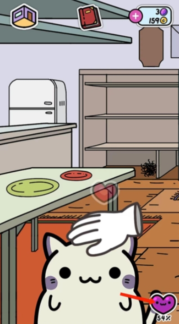 小偷猫