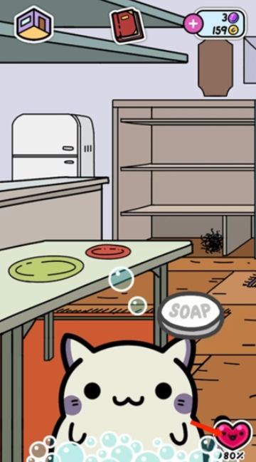 小偷猫