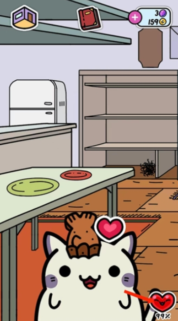 小偷猫