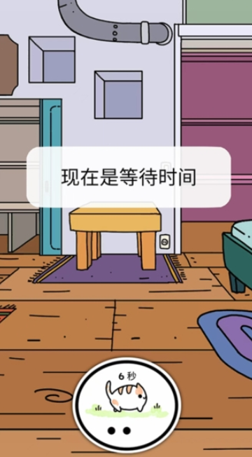小偷猫