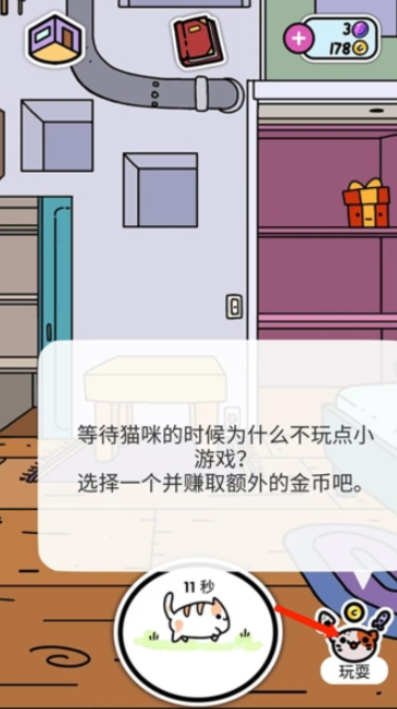 小偷猫