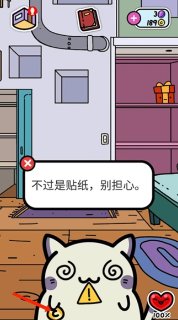 小偷猫