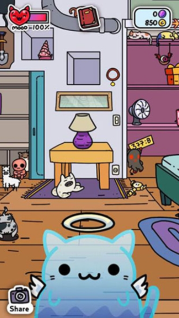 小偷猫