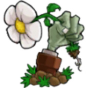 植物大战僵尸CL版