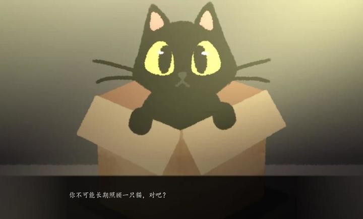 别带这只猫回家手机版