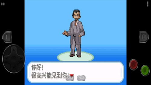 精灵宝可梦剑盾图4