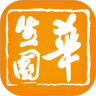 梦幻蛋糕