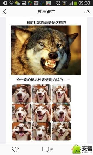 杜甫很忙手机最新版