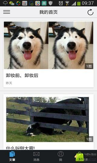 杜甫很忙手机最新版