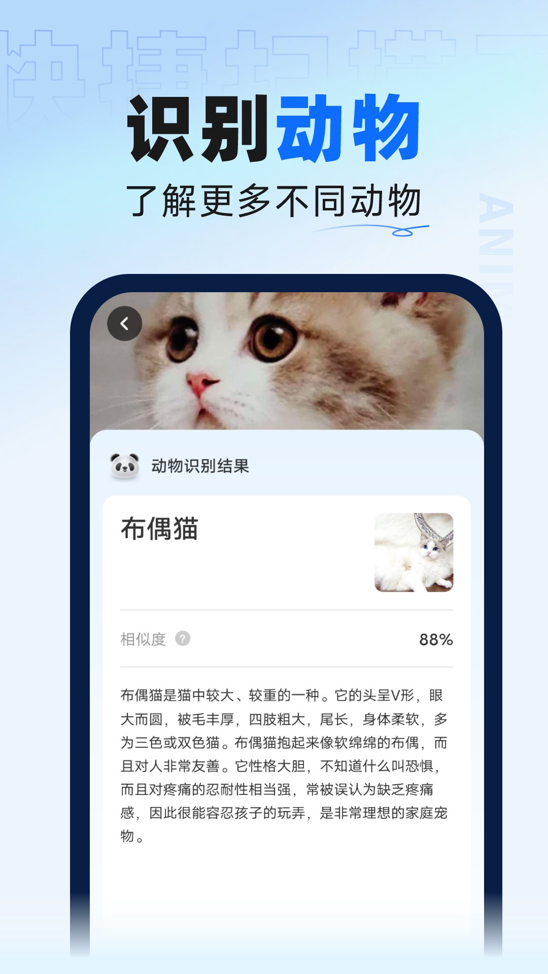 快捷扫描王通用版