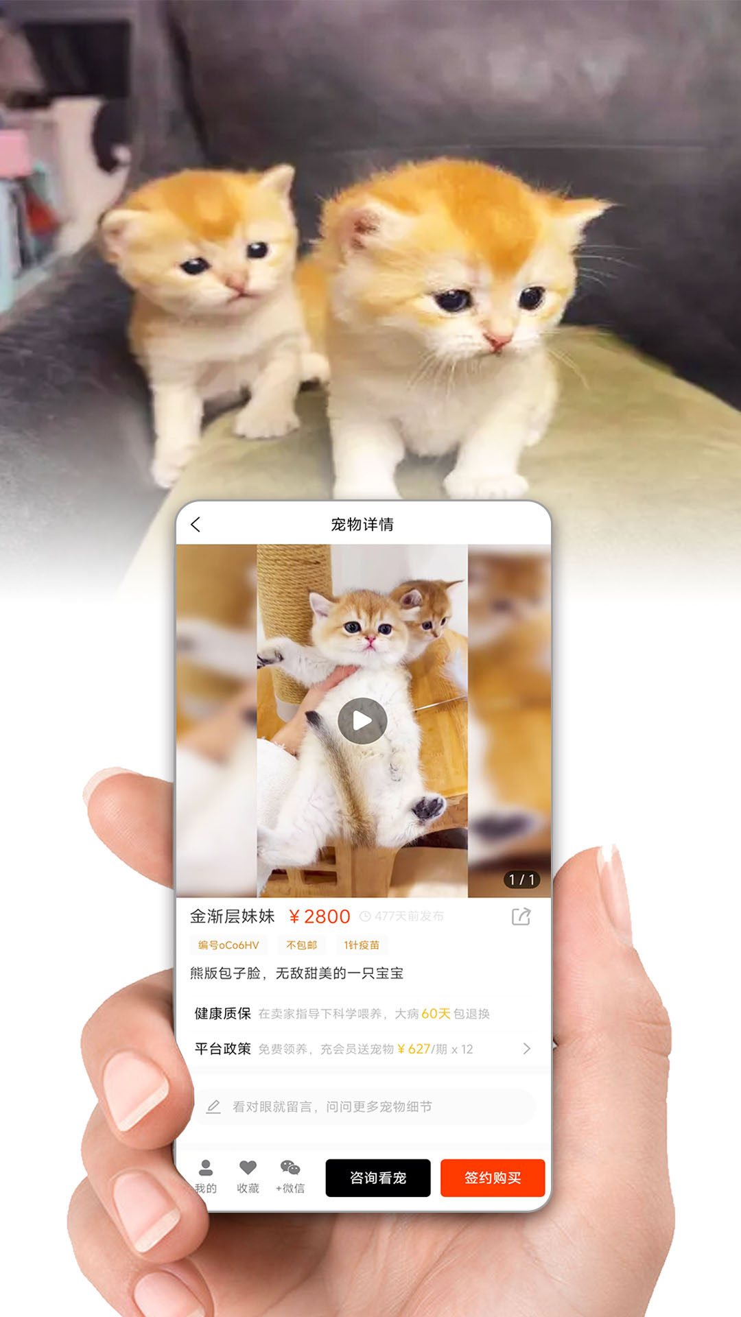 集咪舍安卓官方版