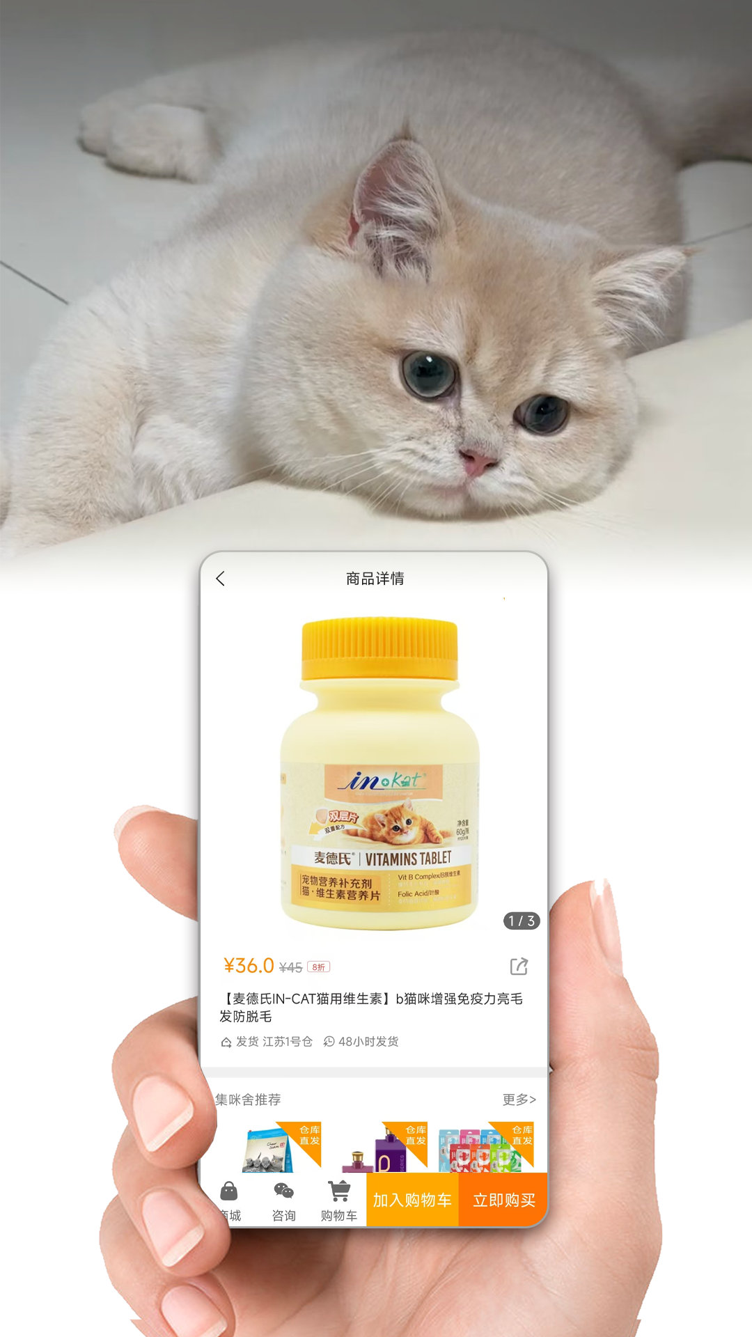 集咪舍安卓官方版