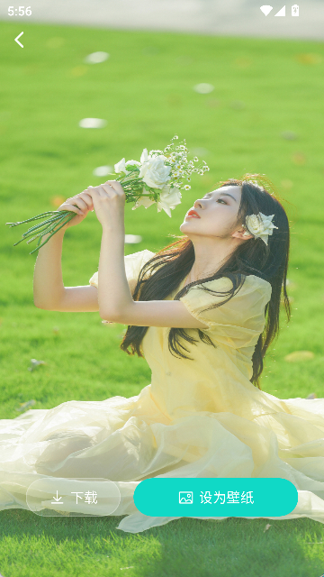 绘壁纸(4)