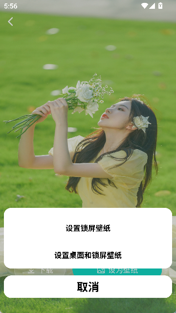 绘壁纸(5)