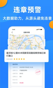 违章查询专业版(2)