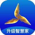 三翼鸟无广告版