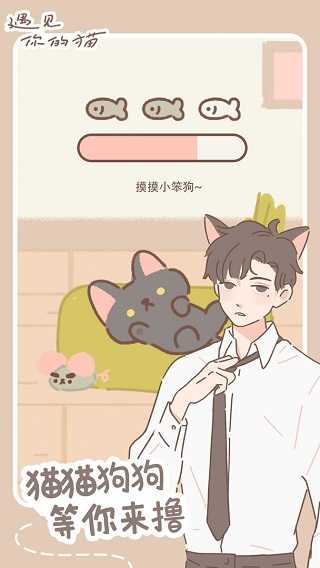遇见你的猫正版