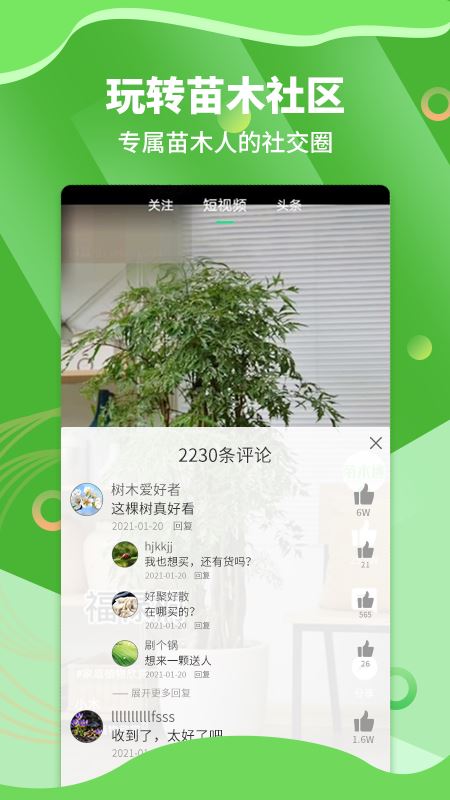 湖南苗木通用版