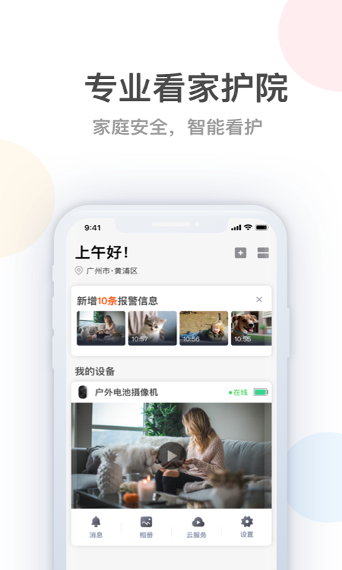 桔子柚子免费原版
