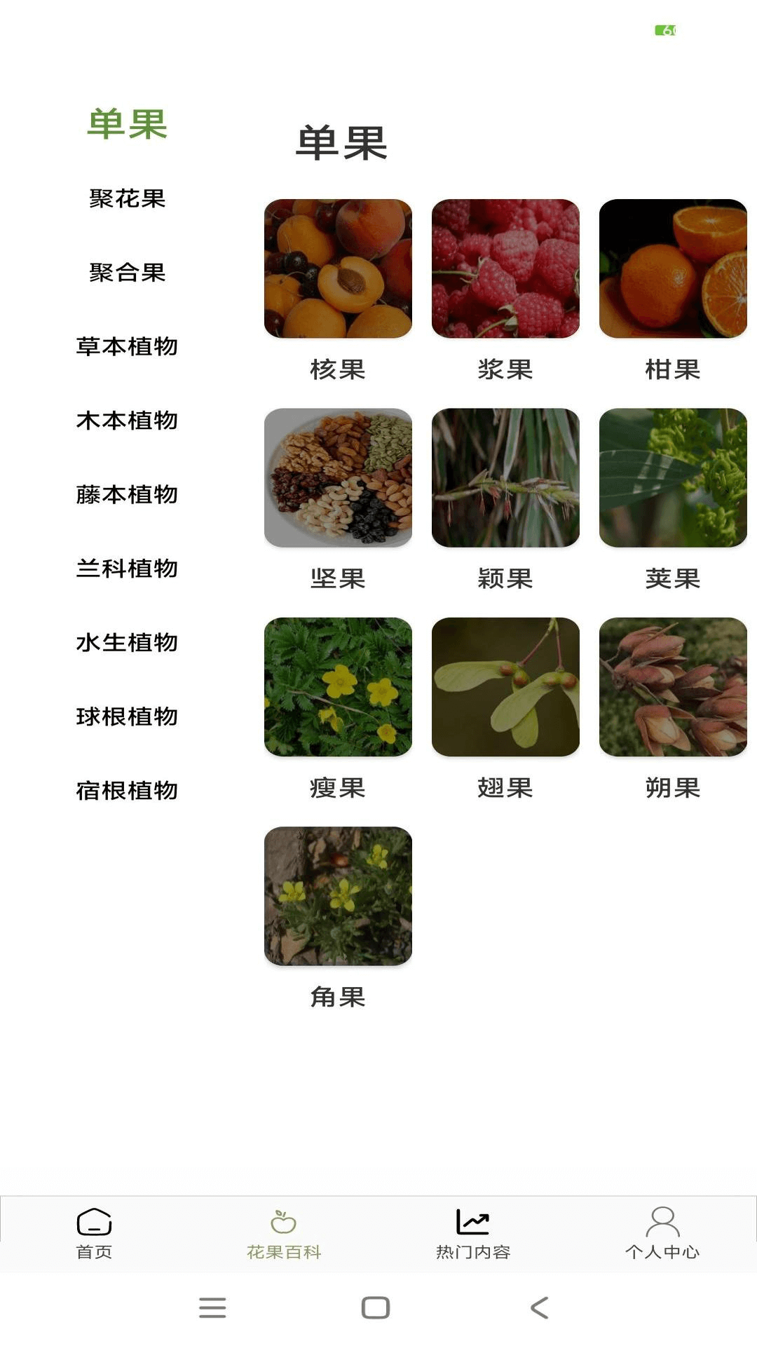 花果管家安卓版