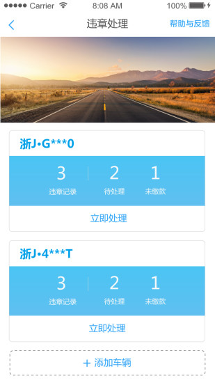 口袋车管无广告版