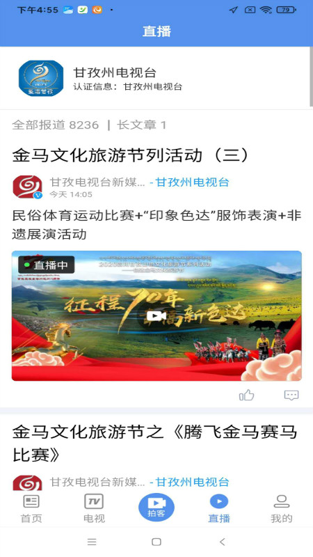 善地德格直装版