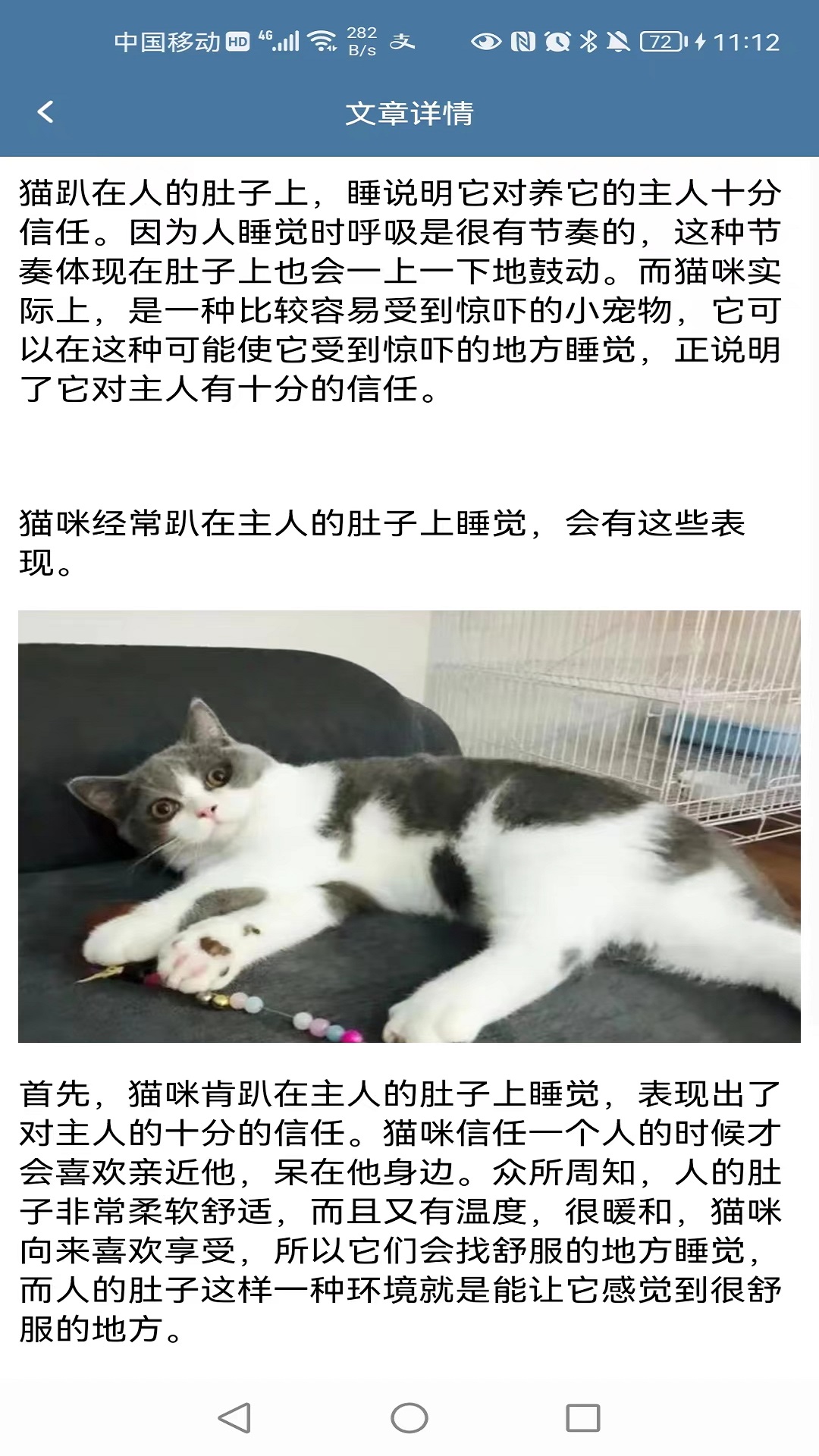甜饭安卓免费版