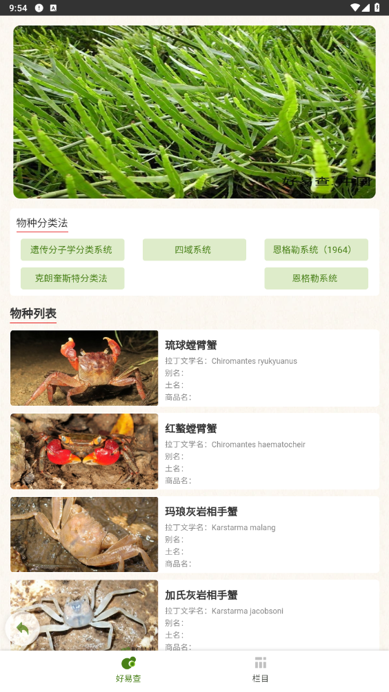 好易查安卓官方版