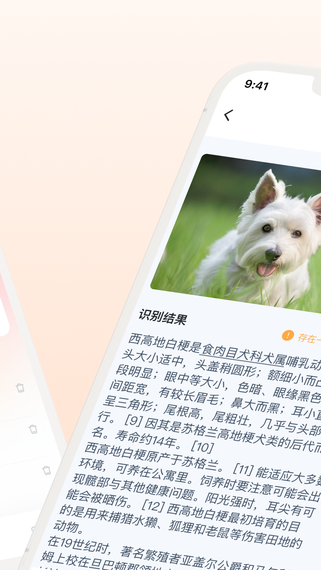 口袋识别安卓直装版