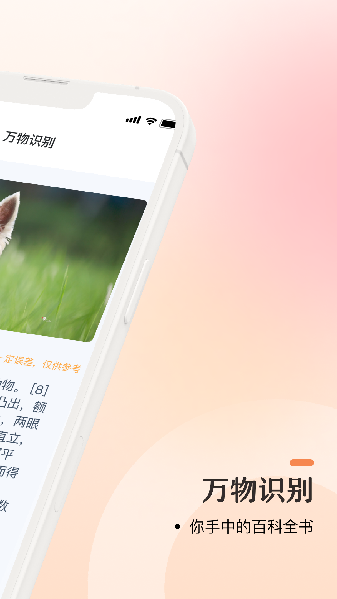 口袋识别安卓直装版