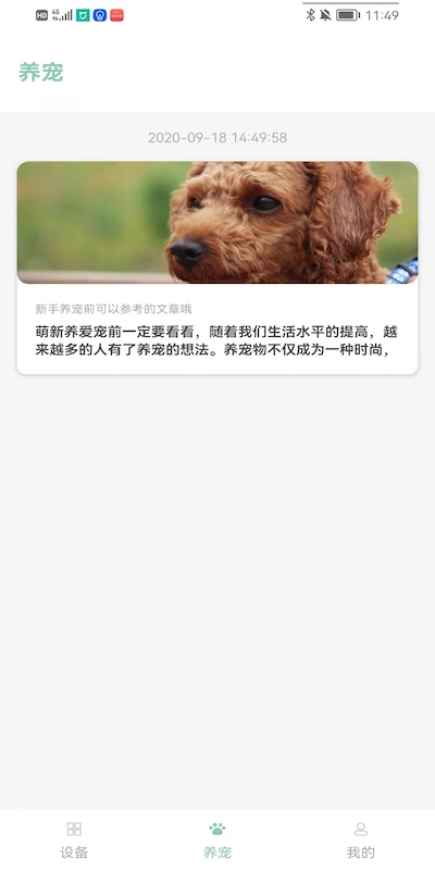 PETJC直装版