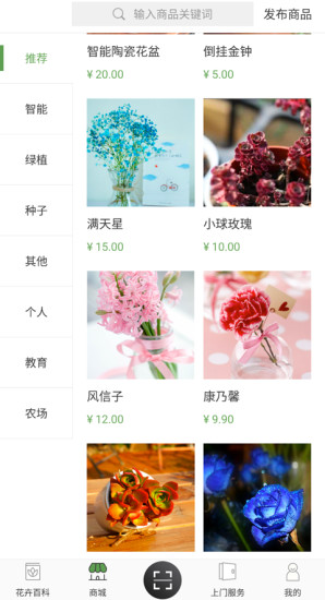 共享花盆原版