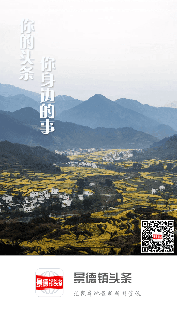 景德镇头条安卓免费版