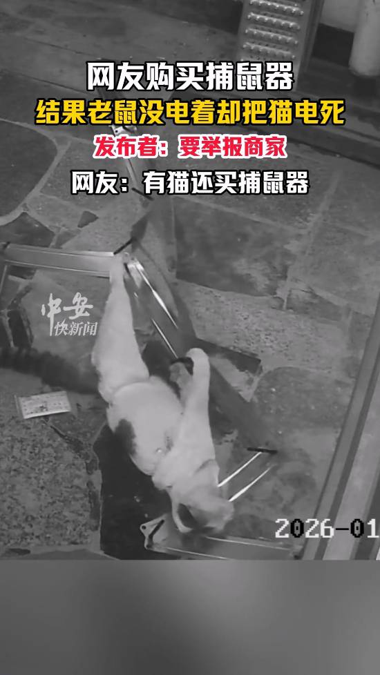 网友买捕鼠器却把自家猫电死了，打算举报商家；有网友疑惑：家里有猫为啥还要买捕鼠器