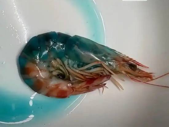 煮熟的虾“蓝得吓人”？盒马回应：可以正常食用