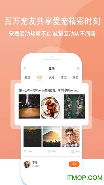 天天撸宠官方版图1