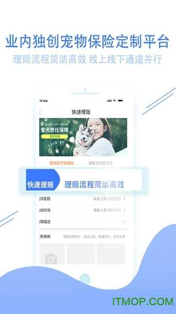 天天撸宠官方版图3