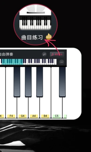 模拟钢琴通用版图2